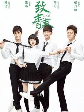 电视剧致青春剧情介绍,青春岁月里的爱情与成长